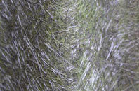 Harlow Green fibreglass roof work